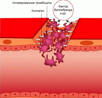 адгезию тромбоцитов