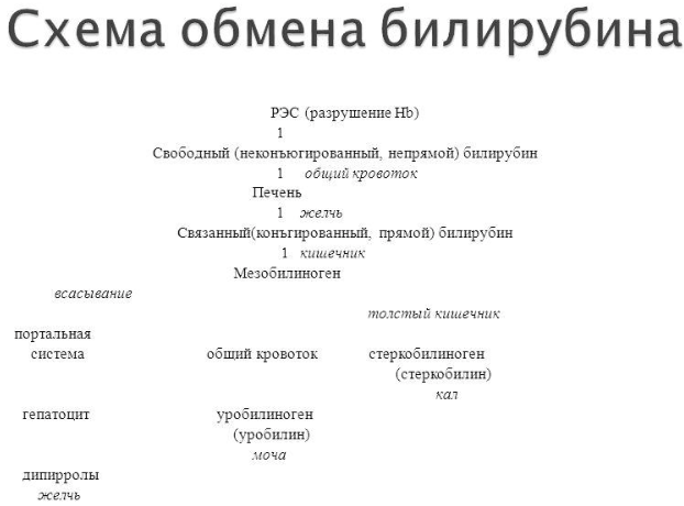 Как плетет сергей Как плетет сергей