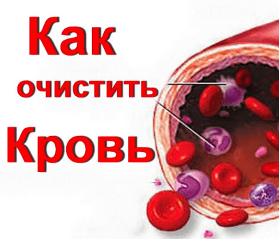 Как очищать кровь в домашних условиях Как очищать кровь в домашних условиях