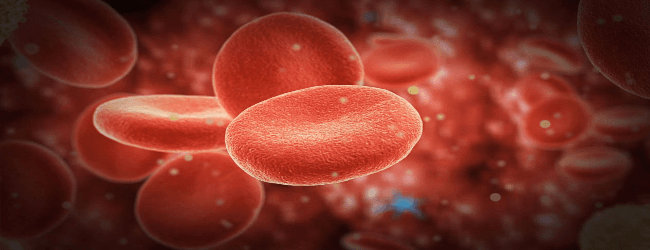 Что такое MCHC в анализе крови: расшифровка и причины отклонений, норма ...