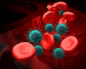 По анализу крови повышен индекс распределения тромбоцитов