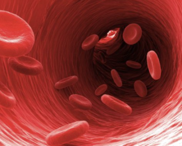 Общий анализ крови может показать анемию