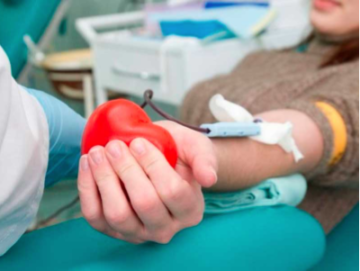 Донорство крови при менструации